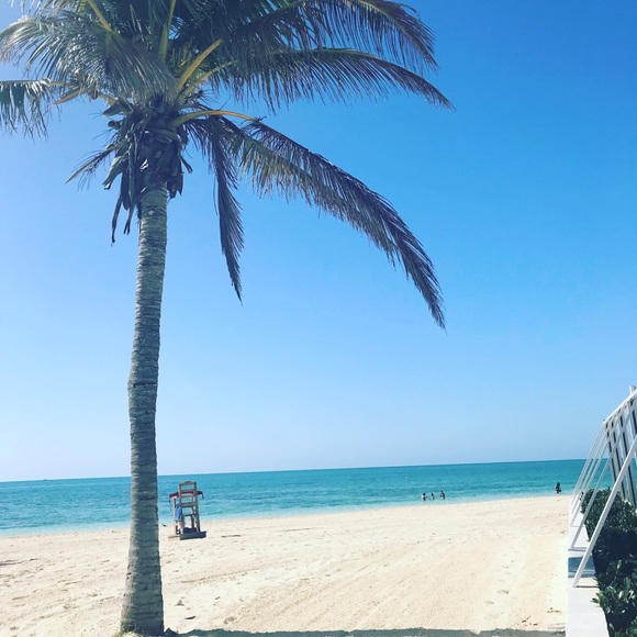 Meet your Posher, Brandy - Picture 1 of 1